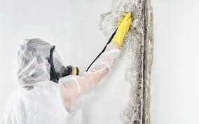 Best Dehumidification Services  in Westlake Village, CA